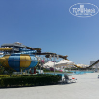 фото из отзыва ID 1951245