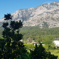 фото из отзыва ID 1951276