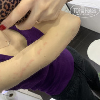 фото из отзыва ID 1951304