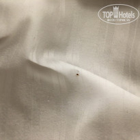 фото из отзыва ID 1951304