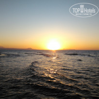 фото из отзыва ID 1951377