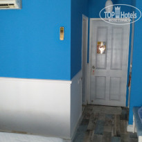 фото из отзыва ID 1951405