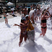 фото из отзыва ID 1951460