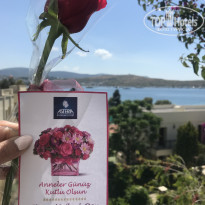 фото из отзыва ID 1951456