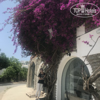 фото из отзыва ID 1951456