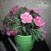 фото из отзыва ID 1951593