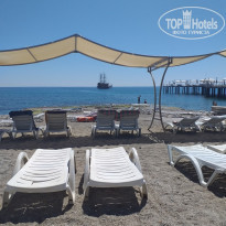 фото из отзыва ID 1951596