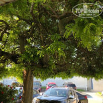 фото из отзыва ID 1951617