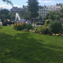 фото из отзыва ID 1951617