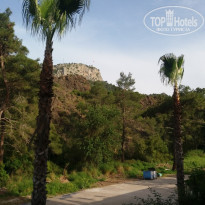 фото из отзыва ID 1951632