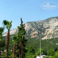 фото из отзыва ID 1951746