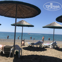 фото из отзыва ID 1951813