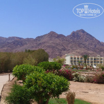 фото из отзыва ID 1951849