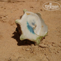 фото из отзыва ID 1951849