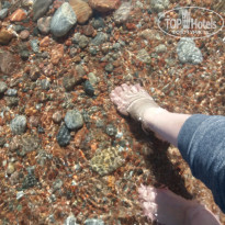 фото из отзыва ID 1951972