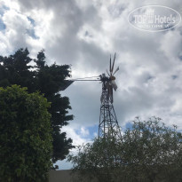 фото из отзыва ID 1952004