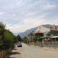 фото из отзыва ID 1951986