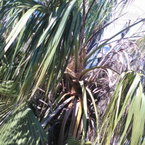 фото из отзыва ID 1951986