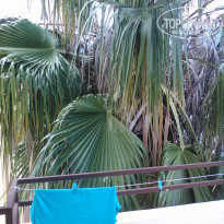 фото из отзыва ID 1951986