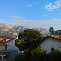 фото из отзыва ID 1951986