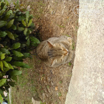 фото из отзыва ID 1951986