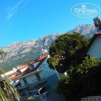 фото из отзыва ID 1951986