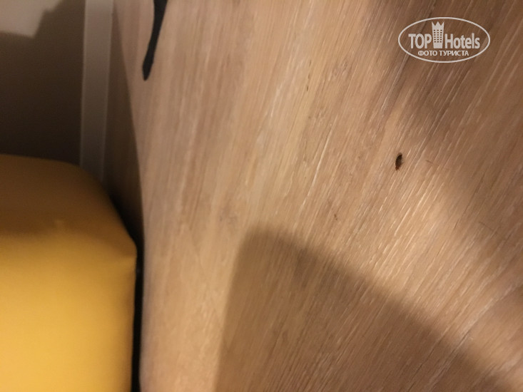 New photos from tourists Frederics Munchen City Schwabing 4*