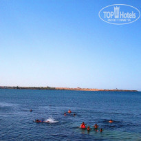 фото из отзыва ID 1952194