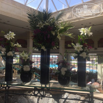 фото из отзыва ID 1952231