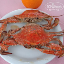 фото из отзыва ID 1952228