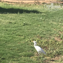 фото из отзыва ID 1952234