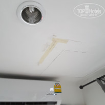 фото из отзыва ID 1951470