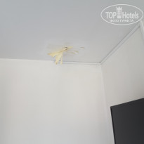 фото из отзыва ID 1951470