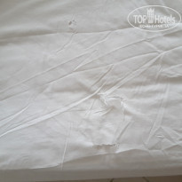 фото из отзыва ID 1951470