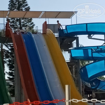 фото из отзыва ID 1952348