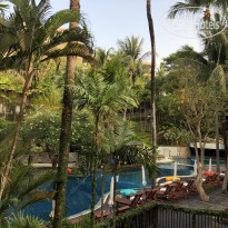 фото из отзыва ID 1952446