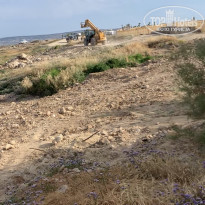 фото из отзыва ID 1951800