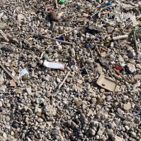 фото из отзыва ID 1951800