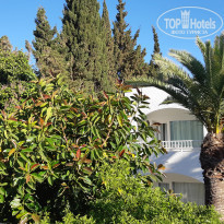 фото из отзыва ID 1952518