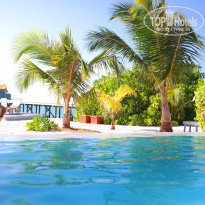 фото из отзыва ID 1952591