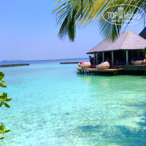 фото из отзыва ID 1952591