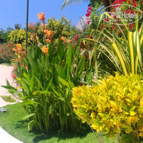 фото из отзыва ID 1952591