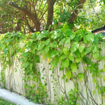 фото из отзыва ID 1952591