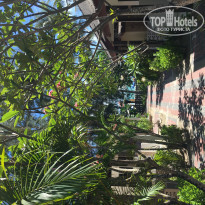 фото из отзыва ID 1952666