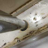 фото из отзыва ID 1952671