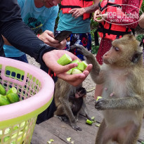 фото из отзыва ID 1952750