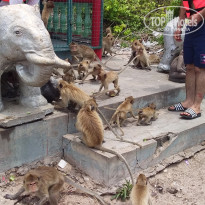 фото из отзыва ID 1952750