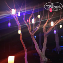 фото из отзыва ID 1952796