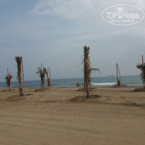 фото из отзыва ID 1952819