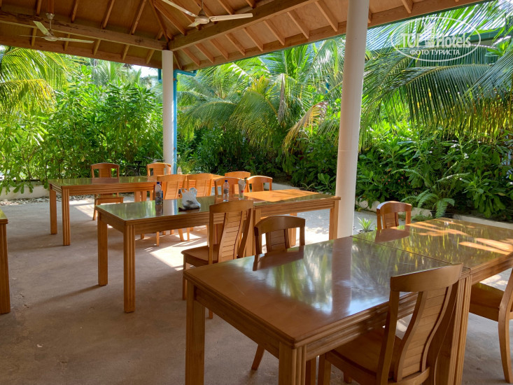 New photos from tourists Beach Sunrise Inn 3*